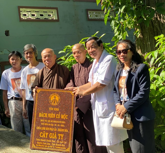 Thượng tọa Thích Tâm Niệm, trụ trì chùa Linh Sơn Pháp Ân tiếp nhân bia công nhận "Bách niên cổ mộc" cho cây giá tỵ được trồng trong khuôn viên chùa