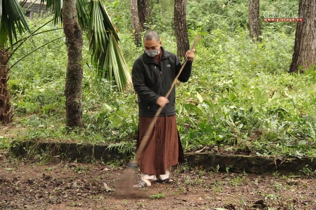 Quét dọn quanh tháp Tổ