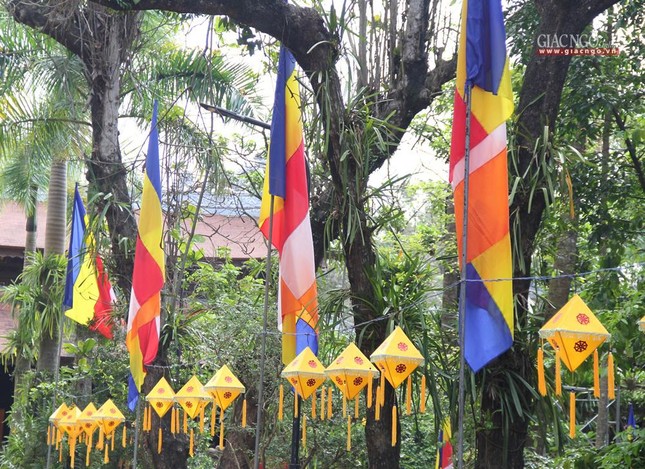 Cờ, hoa được trang hoàng tươi vui