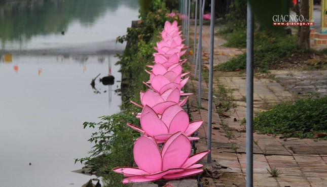 Hoa sen trang trí tại các điểm công cộng