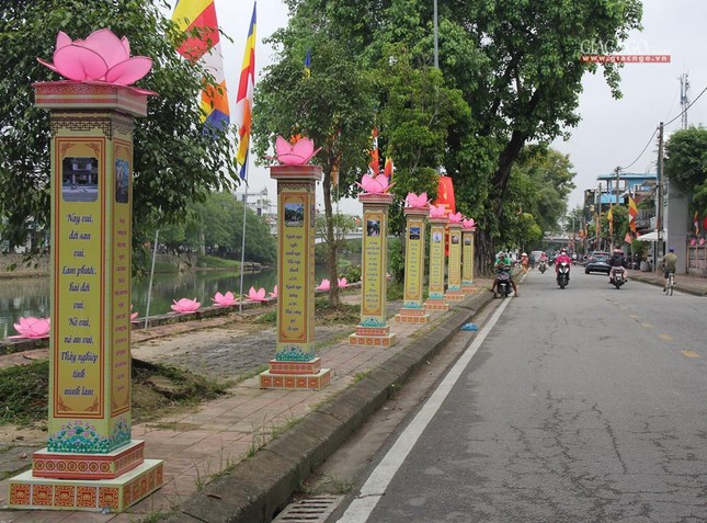 Những đóa sen hồng trên đường phố