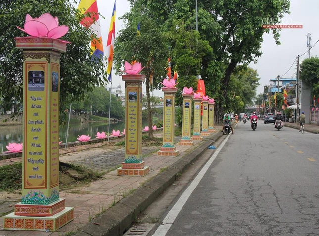 Những đóa sen hồng trên đường phố