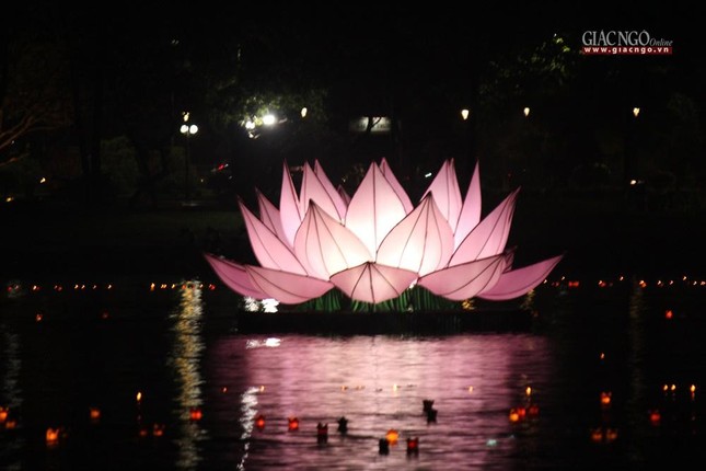 Từng đóa sen được thắp sáng