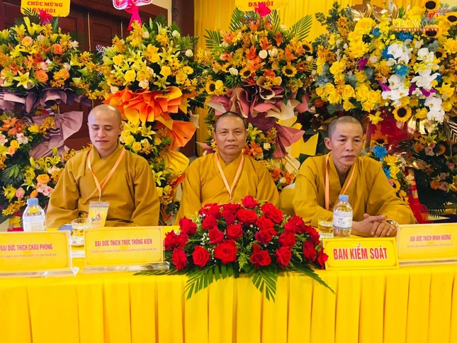 Ban Kiểm soát, thẩm tra tư cách đại biểu