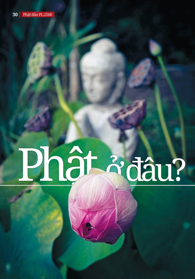 Bài trên Báo Giác Ngộ số 1150 - Thiết kế: Phòng Mỹ thuật BGN/Tống Viết Diễn