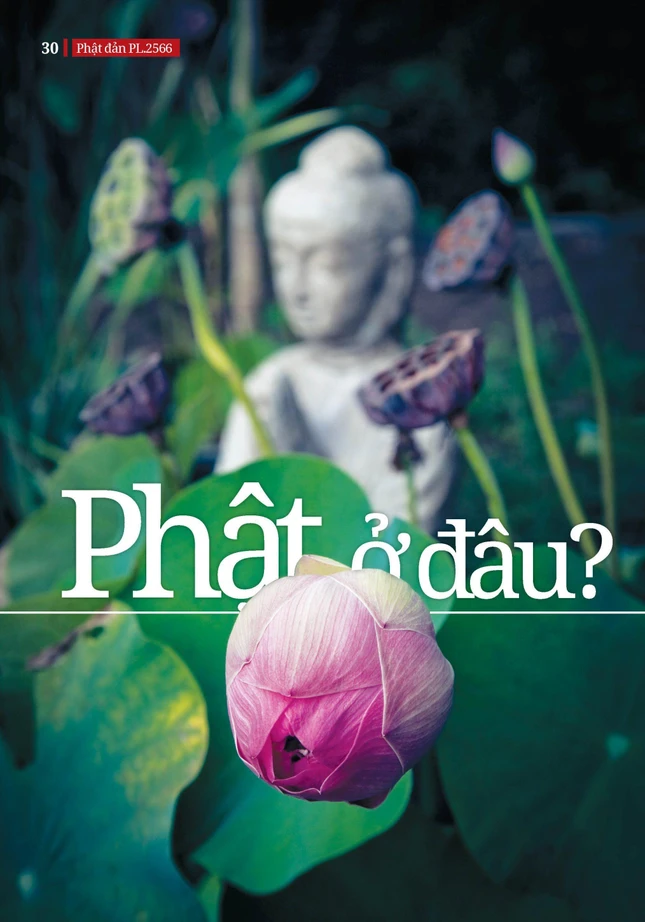 Bài trên Báo Giác Ngộ số 1150 - Thiết kế: Phòng Mỹ thuật BGN/Tống Viết Diễn Bài trên Báo Giác Ngộ số 1150 - Thiết kế: Phòng Mỹ thuật BGN/Tống Viết Diễn