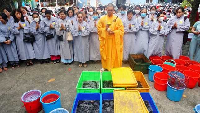 Chư Tăng chùa Diệu Pháp chú nguyện cho các loài cá trước khi phóng sanh Chư Tăng chùa Diệu Pháp chú nguyện cho các loài cá trước khi phóng sanh