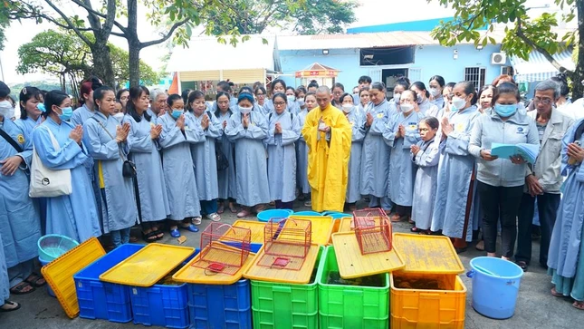 Khóa lễ phóng sanh