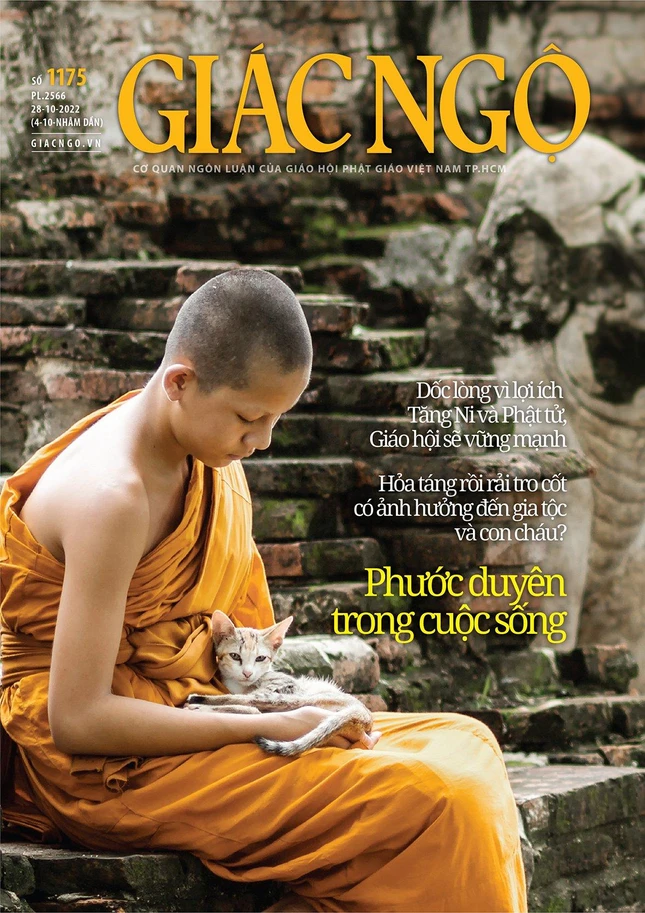 Bìa báo Giác Ngộ số 1175 - Mỹ thuật: Tống Viết Diễn