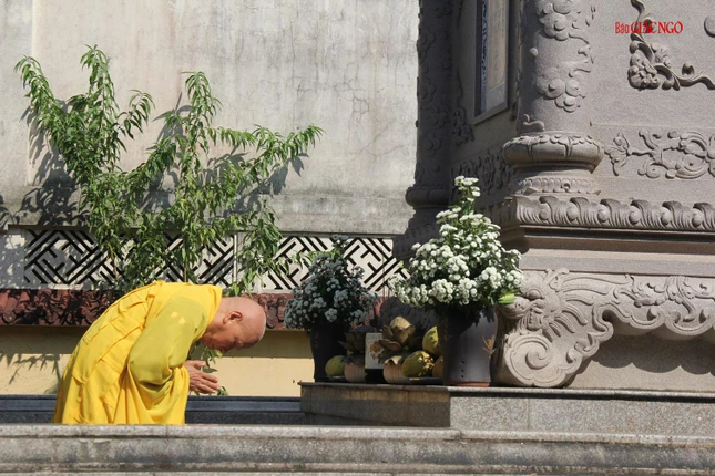 Chư Tăng đảnh lễ bảo tháp Trưởng lão Hòa thượng