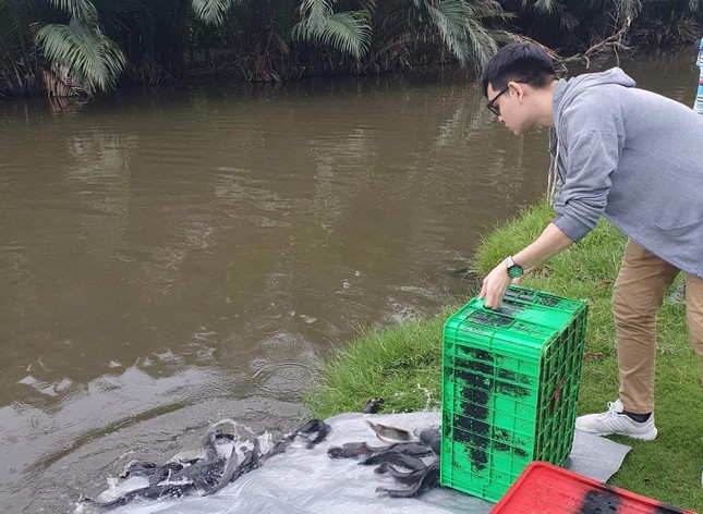 Phật tử Trần Quốc Trung phóng sanh cá