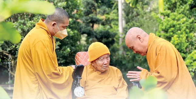 Hòa thượng Thích Nhật Quang đảnh lễ Đức Trưởng lão Hòa thượng Thích Thanh Từ