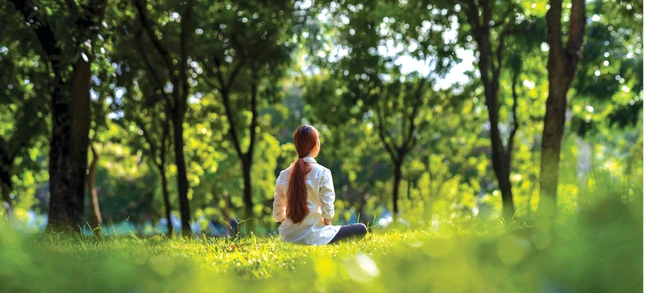 Ảnh minh họa Ảnh minh họa