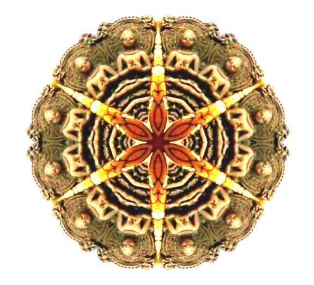 "Phật ngự 2" của Long Độ "Phật ngự 2" của Long Độ