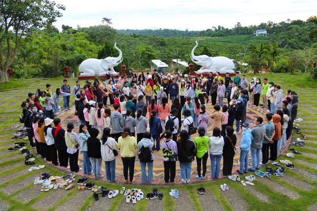 Sinh hoạt vòng tròn
