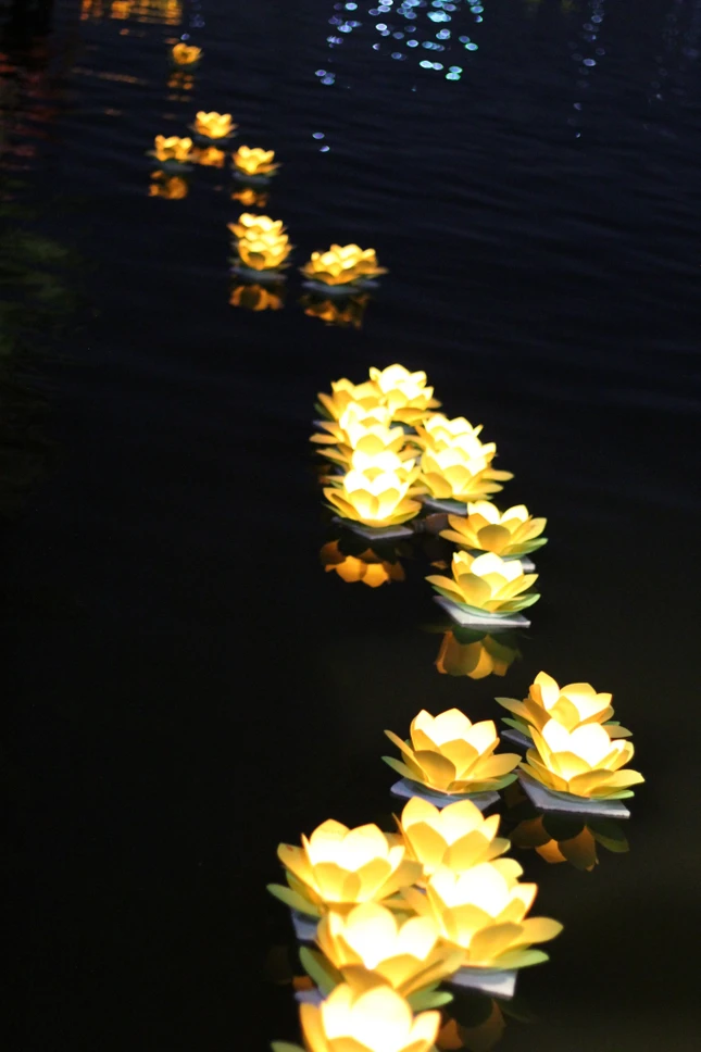 Lung linh ánh sáng nhiệm mầu