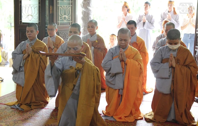 Môn đồ đệ tử