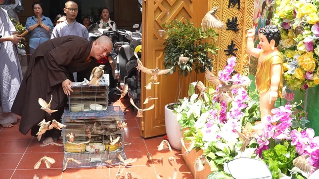 Đại đức Thích Thiện Châu, trụ trì chùa Ngọc Nhân phóng sanh chim