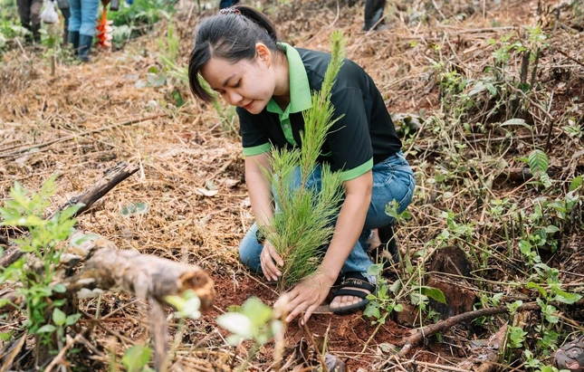 Trồng cây xanh góp phần cải thiện môi trường sinh thái Trồng cây xanh góp phần cải thiện môi trường sinh thái
