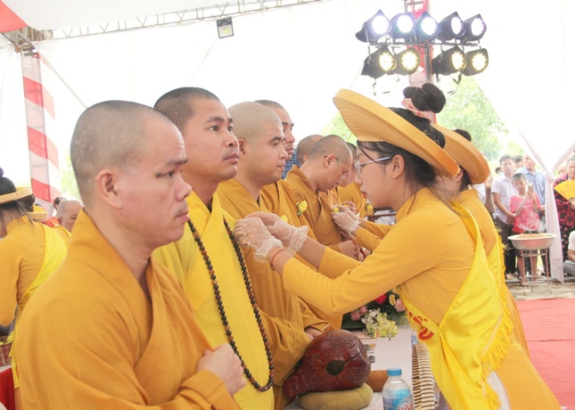 Lễ cài hoa hồng