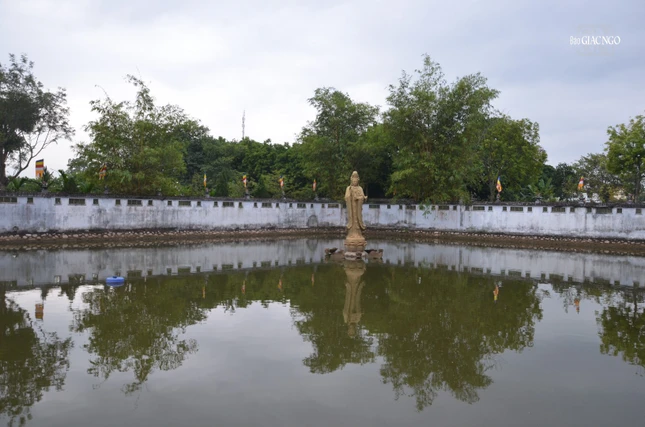 Quán Âm ngự tọa đài sen/ Dịu dàng ánh mắt nhìn xem cuộc đời