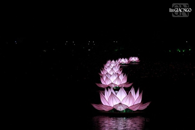 7 đóa sen cung đón 7 bước đi thanh tịnh của Đức Thế Tôn