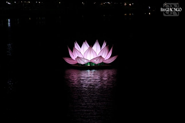 Từng đóa sen được thắp sáng trên dòng Hương giang thơ mộng