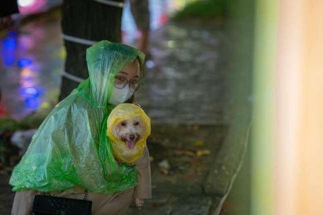 Ảnh: Kelvin Long Ảnh: Kelvin Long