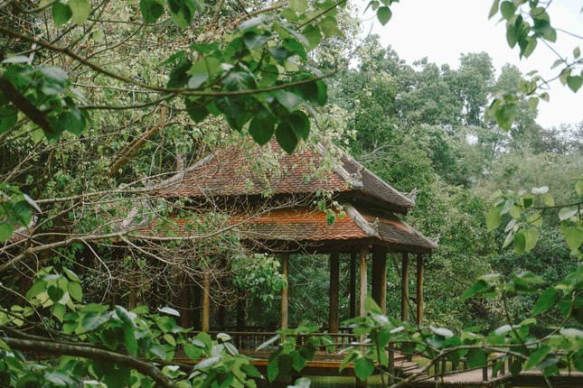 Một góc xanh mát trong khuôn viên chùa