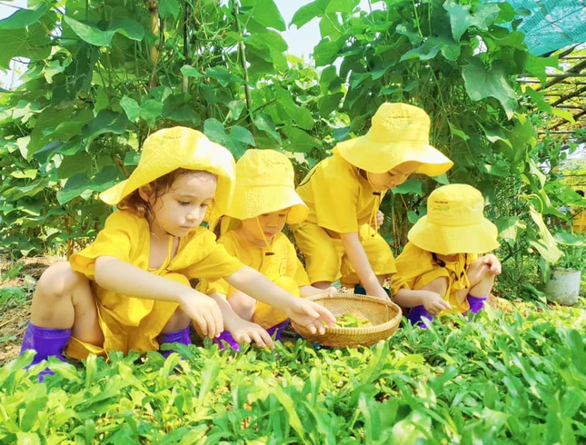 Trải nghiệm làm nông dân nhí ở chùa Đức Sơn - Ảnh: LTN Trải nghiệm làm nông dân nhí ở chùa Đức Sơn - Ảnh: LTN