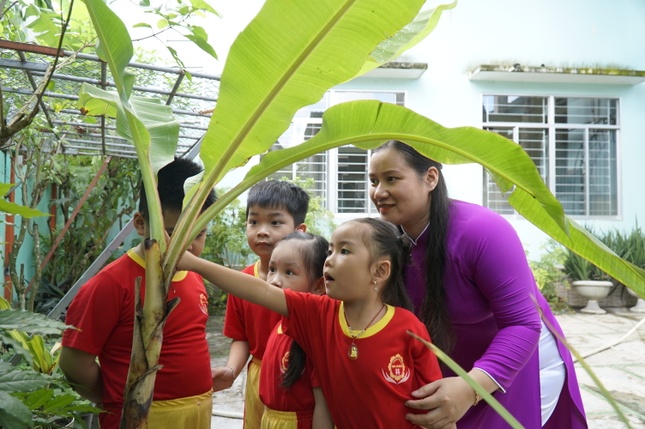 Các em tìm hiểu về những loại cây trồng ở trường