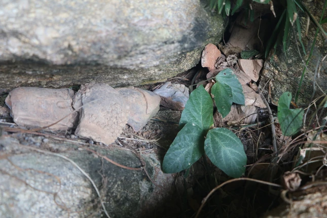 Mảnh tượng bằng đất nung nằm theo cụm trong hang Đá Chùa Mảnh tượng bằng đất nung nằm theo cụm trong hang Đá Chùa