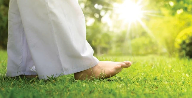 Tất cả chúng ta đều giống nhau, mỗi người đều mỗi sáng thức dậy đi làm và chiều tối về trong một cơ thể mệt mỏi. Điểm khác nhau là khi trở về, có người mệt cả thân tâm, có người chỉ mệt cái thân, nhưng cái tâm nhẹ bỗng