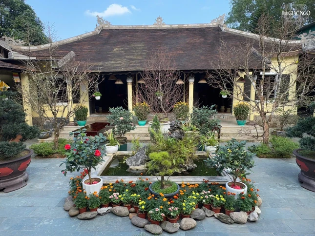 Khung cảnh yên bình những ngày giáp Tết nơi chùa Bảo Lâm