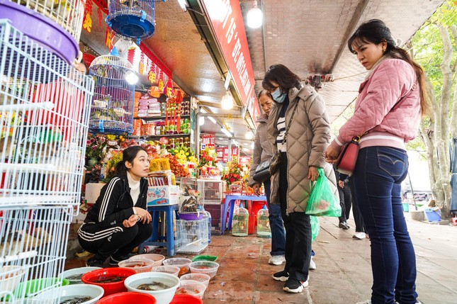 Sau khi làm lễ xong, một số người sẽ thực hiện nghi lễ phóng sinh các loài cá, chim, rùa, ốc xuống Hồ Tây - Ảnh: Đức Nguyễn