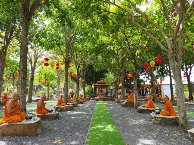 Độ ngọ dưới gốc cây