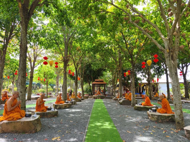 Độ ngọ dưới gốc cây