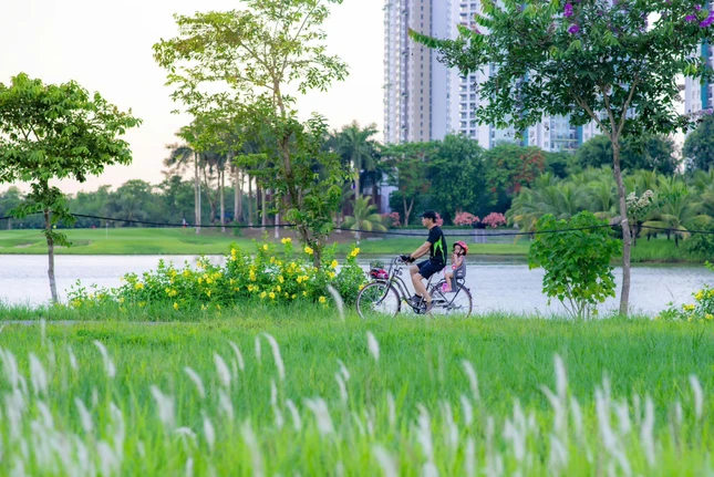 Ảnh: L.Đ.L Ảnh: L.Đ.L