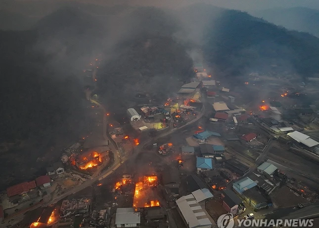 Đám cháy rừng lan rộng ở Uiseong - Ảnh: Yonhap Đám cháy rừng lan rộng ở Uiseong - Ảnh: Yonhap