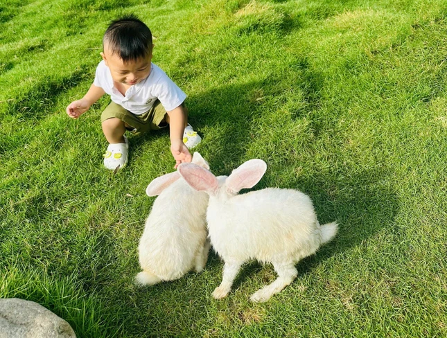 Em bé IVF của mẹ Thùy Dung Em bé IVF của mẹ Thùy Dung