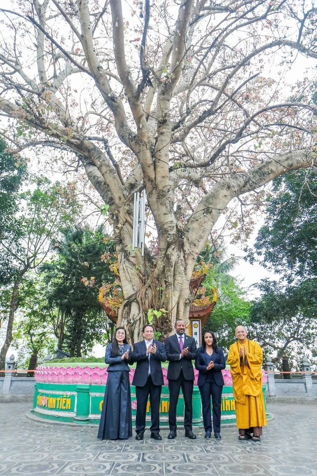 Thủ tướng Phạm Minh Chính và Thủ tướng Ethiopia Abiy Ahmed Ali cùng hai phu nhân chụp ảnh lưu niệm bên cây bồ-đề hơn 60 năm tuổi trong khuôn viên chùa Trấn Quốc Thủ tướng Phạm Minh Chính và Thủ tướng Ethiopia Abiy Ahmed Ali cùng hai phu nhân chụp ảnh lưu niệm bên cây bồ-đề hơn 60 năm tuổi trong khuôn viên chùa Trấn Quốc