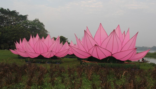 Hoa sen được tập kết tại bờ sông Hương