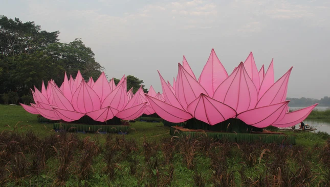 Hoa sen được tập kết tại bờ sông Hương