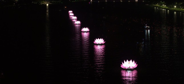 Lung linh 7 đóa sen hồng