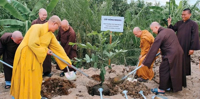 Chư Tăng Ni cùng nhau trồng cây hồng nhung cạnh tháp vọng Chư Tăng Ni cùng nhau trồng cây hồng nhung cạnh tháp vọng