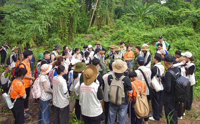 Các bạn trẻ được hướng dẫn cách trồng những cây sao dầu, lim xanh