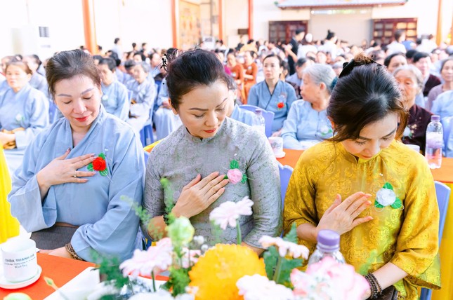 Hoa hồng trên ngực áo