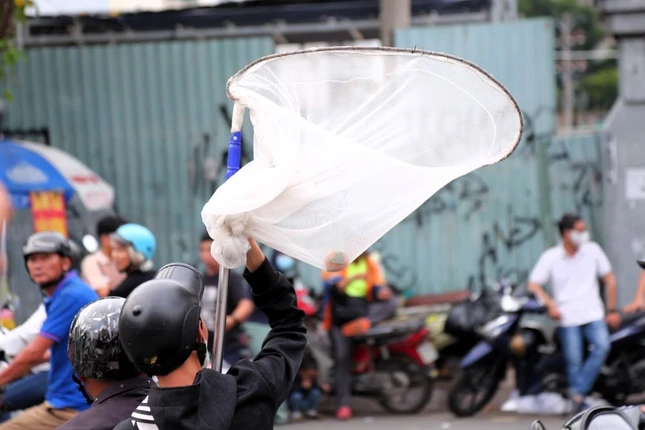 Nhiều thanh niên mang theo “đồ nghề” như vợt, mâm nhựa để hứng tiền, đồ cúng - Ảnh: Anh Tú