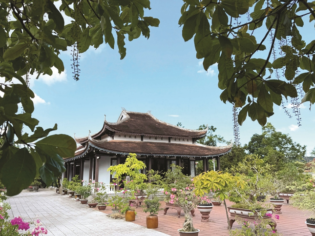 Ảnh: Quảng Điền Ảnh: Quảng Điền