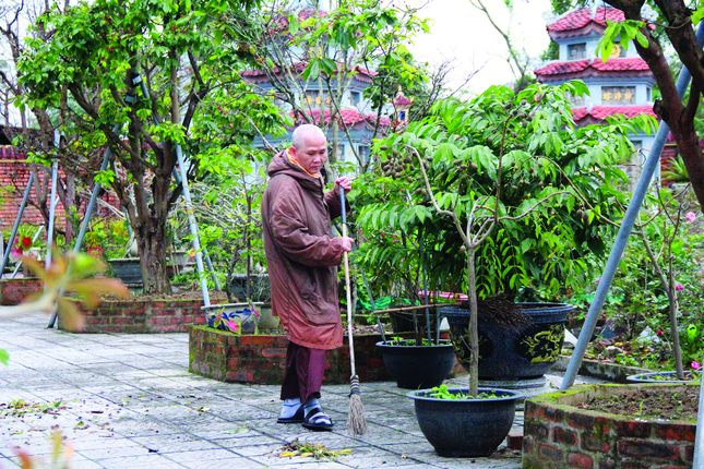 Ảnh: Quảng Điền Ảnh: Quảng Điền